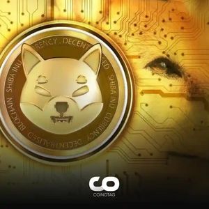 The Shiba Inu Ecosystem Focuses on KNINE Launch: SHIB Token on the Rise!
