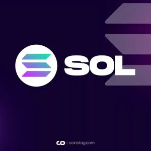 Solana SOL’s Meme Coin Mania: A Test of Strength for the Blockchain’s Infrastructure