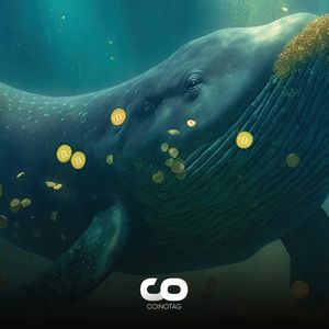 Bitcoin Whale “Mr. 100” Unmasked as Upbit Cold Wallet, Crypto Exchange’s Holdings Revealed