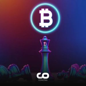 Bitcoin Defies Bearish Pressure: Why BTC Price Corrections Remain Shallow in 2024