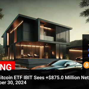 BlackRock’s Bitcoin ETF IBIT Draws $875 Million Inflow, Boosting Bitcoin Price – October 30, 2024