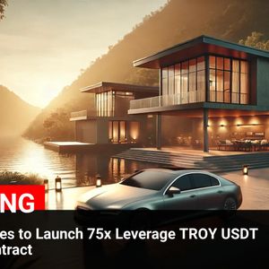 Binance Futures Introduces 75x Leverage TROY USDT Perpetual Contract: Potential Impact on Market Volatility and Risk