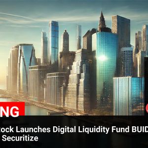 BlackRock Launches Digital Liquidity Fund BUIDL on Avalanche via Securitize – AVAX Price Reaches $31.97