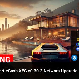 Bybit Announces Support for The eCash XEC v0.30.2 Network Upgrade: XEC ( $XEC ) Price at $0.00004402