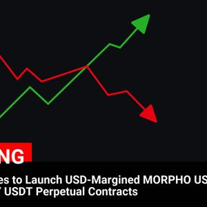 Binance Futures Unveils USD-Margined MORPHO USDT and CHILLGUY USDT Perpetual Contracts