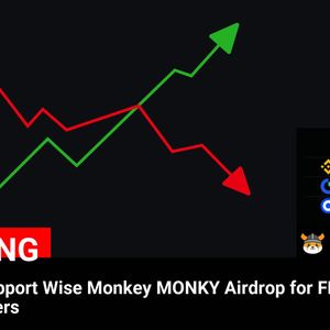 Binance Announces Wise Monkey MONKY Airdrop for FLOKI and APE Holders