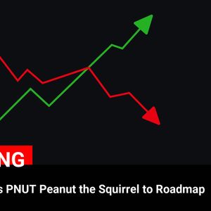 Coinbase’s Latest Addition: PNUT (Peanut the Squirrel) Joins Roadmap