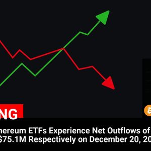 Bitcoin and Ethereum ETFs Witness Significant Outflows Totaling $352.1M on December 20, 2024