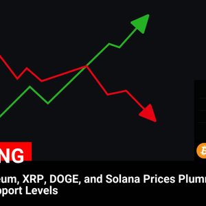 Cryptocurrency Market Update: Bitcoin, Ethereum, XRP, DOGE, and Solana Witness Significant Price Drop Below Crucial Support Levels