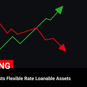 Binance Announces Delisting of Flexible Rate Loanable Assets: What It Means for Traders