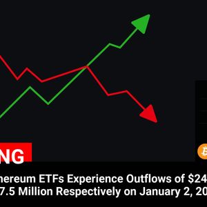 Bitcoin and Ethereum ETFs See Massive Outflows on January 2, 2025: Impact on Cryptocurrency Prices