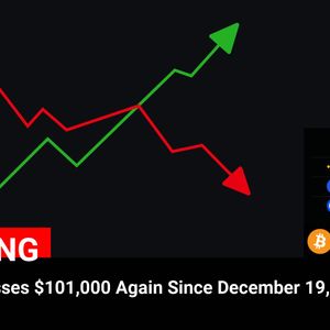 Bitcoin Price Soars Above $101,000 Mark: Latest Update on December 19, 2024