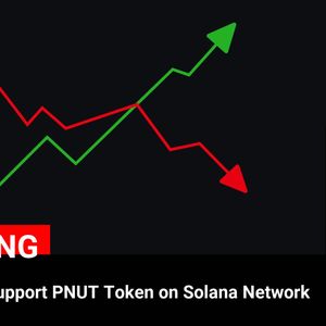 Coinbase Announces Support for PNUT Token on Solana Network: Solana (SOL) Hits $176.11