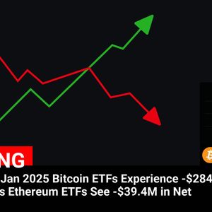 Bitcoin and Ethereum ETFs Witness Significant Net Outflows on 13 Jan 2025