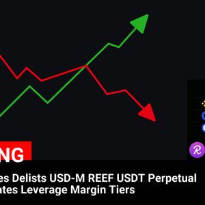 Binance Futures Delists USD-M REEF USDT Perpetual Contract and Introduces Leverage Margin Tier Updates