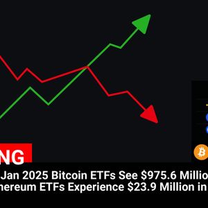 Bitcoin and Ethereum ETFs Witness Significant Net Inflows on 17 Jan 2025