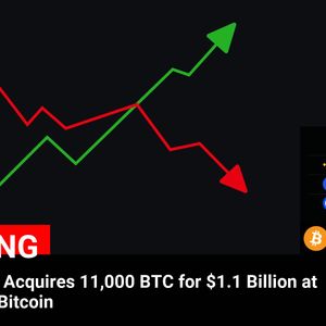 MicroStrategy’s $1.1 Billion Bitcoin Investment: Acquires 11,000 BTC at $101,191 Per Bitcoin
