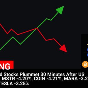 Bitcoin-Related Stocks Plummet 30 Minutes After US Markets Open