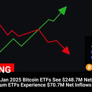 Bitcoin and Ethereum ETFs Garner Impressive Net Inflows, With Bitcoin Receiving $248.7M and Ethereum $70.7M on 22 Jan 2025