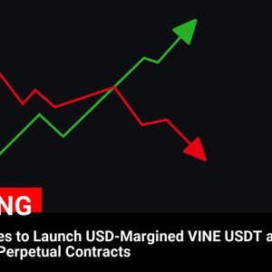 Binance Futures Announces Launch of USD-Margined VINE USDT and PIPPIN USDT Perpetual Contracts