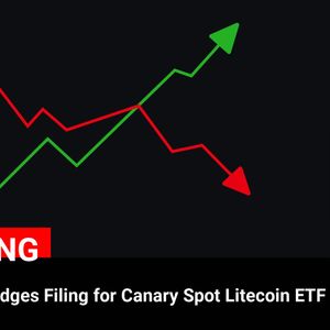 SEC Acknowledges Filing for Canary Spot Litecoin ETF: Latest Developments in $LTC News