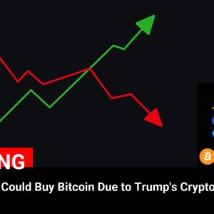 Potential Impact of Trump’s Crypto Policies on Central Banks’ Adoption of Bitcoin – WSJ Analysis