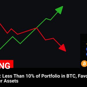 Vitalik Buterin Reveals Preference for ETH Over BTC in Portfolio Allocation