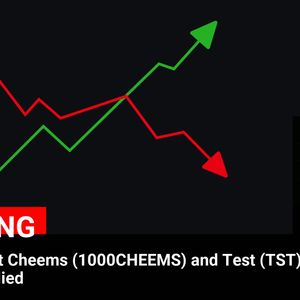 Binance Announces Listing of Cheems (1000CHEEMS) and Test (TST) with Seed Tag Application – Latest Cryptocurrency News