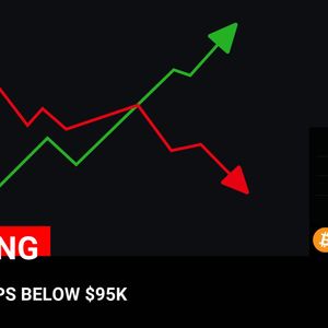 Bitcoin Price Plummets Below $95,000: Market Update and Analysis