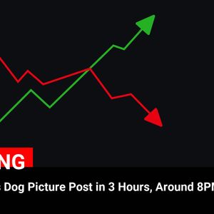 Sharing Exciting News: CZ Set to Post Dog Picture in 3 Hours at 8PM Dubai Time