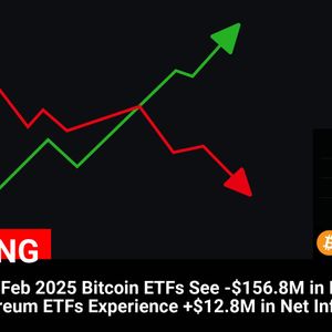 ETF Flows: 13 Feb 2025
Bitcoin ETFs See -$156.8M in Net Outflows
Ethereum ETFs Experience +$12.8M in Net Inflows

💰Coin:
Bitcoin ( $BTC ) $96,984.30
Ethereum (...