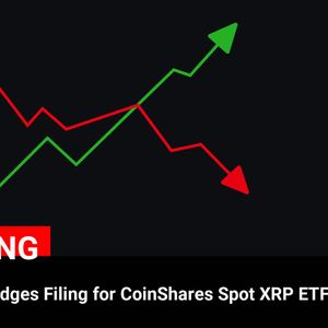 SEC Acknowledges Filing for CoinShares Spot XRP ETF

💰Coin:
XRP ( $XRP ) $2.61