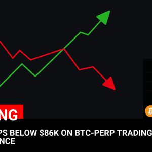 BITCOIN DROPS BELOW $86K ON BTC-PERP TRADING PAIR AT BINANCE

💰Coin:
BTC ( $BTC ) $86,000.10