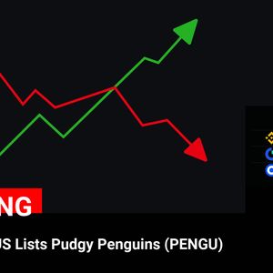 ROBINHOOD US Lists Pudgy Penguins (PENGU)
💰Coin:
PENGU ( $PENGU ) $0.006433