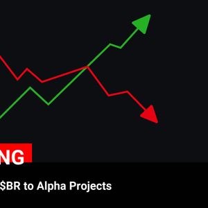 Binance Adds $BR to Alpha Projects