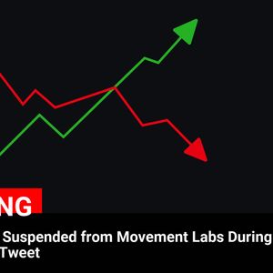 Rushi Manche Suspended from Movement Labs During Investigation: Tweet