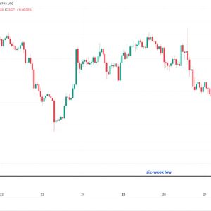 Bitcoin Slides Below $73K as $935M Liquidated, Strive Buys 490 BTC, Musk Merger Eyed