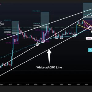 XRP Drops to $1.25 as Bear Trap Forms; RLUSD Launches in Turkey via 3 Platforms