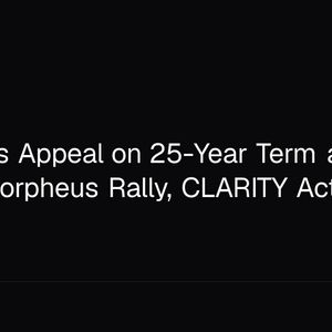 SBF Loses Appeal on 25-Year Term as Venice, Morpheus Rally, CLARITY Act Stalls
