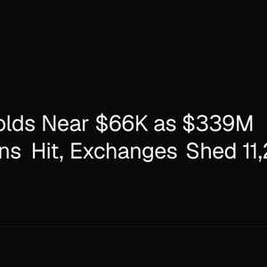 Bitcoin Holds Near $66K as $339M Liquidations Hit, Exchanges Shed 11,236 BTC
