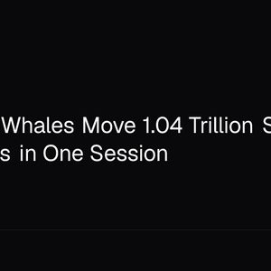 Shiba Inu Whales Move 1.04 Trillion SHIB to Exchanges in One Session