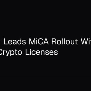Germany Leads MiCA Rollout With 57 of 244 EU Crypto Licenses