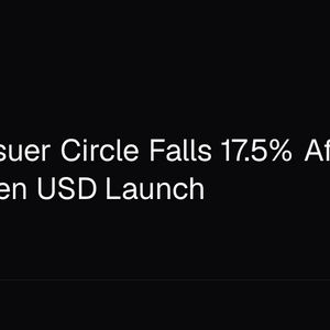 USDC Issuer Circle Falls 17.5% After Rival Open USD Launch