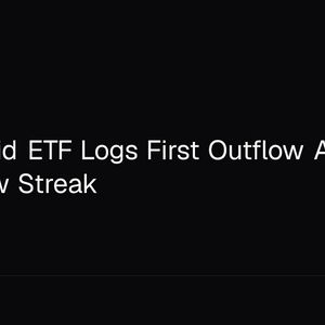 Hyperliquid ETF Logs First Outflow After 16-Day Inflow Streak