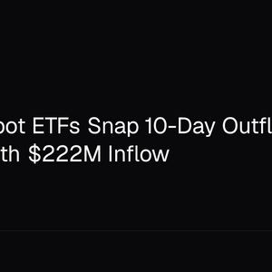 Bitcoin Spot ETFs Snap 10-Day Outflow Streak With $222M Inflow