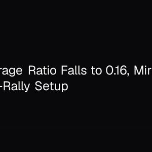 XRP Leverage Ratio Falls to 0.16, Mirroring 2024 Pre-Rally Setup