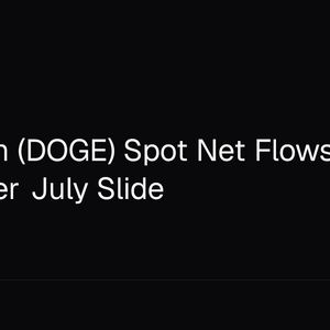 Dogecoin (DOGE) Spot Net Flows Surge 116% After July Slide