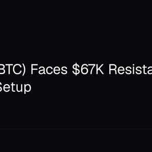 Bitcoin (BTC) Faces $67K Resistance in August Setup