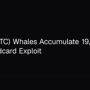 Bitcoin (BTC) Whales Accumulate 19,610 BTC After Coldcard Exploit