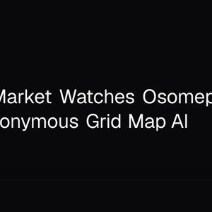 Bitcoin Market Watches Osomepia’s 100% Anonymous Grid Map AI
